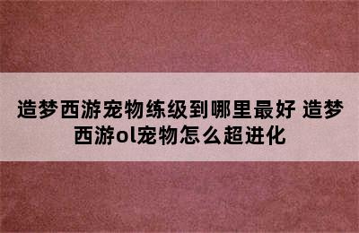 造梦西游宠物练级到哪里最好 造梦西游ol宠物怎么超进化